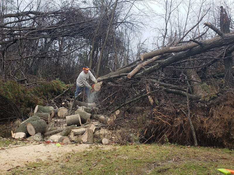/pictures/Trail Clean Up 2018/20181104_080417.jpg